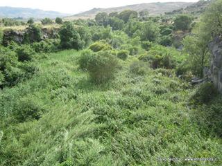 ndolito-24-05-2014 20-45-18
